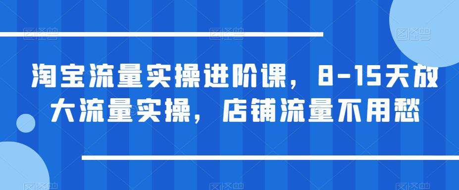 淘宝流量实操进阶课，8-15天放大流量实操，店铺流量不用愁-成长印记