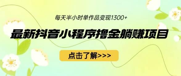 最新抖音小程序撸金躺赚项目，一部手机每天半小时，单个作品变现1300+【揭秘】-成长印记