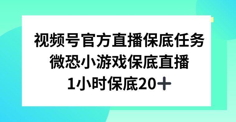 视频号直播任务，微恐小游戏，1小时20+【揭秘】-成长印记