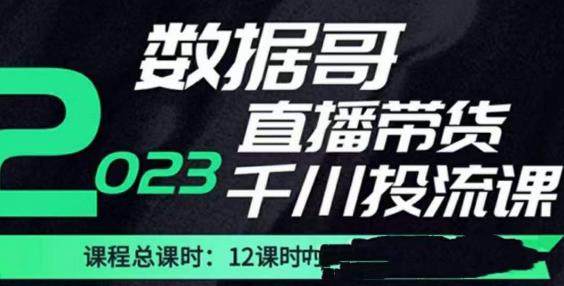 数据哥2023直播电商巨量千川付费投流实操课，快速掌握直播带货运营投放策略-成长印记