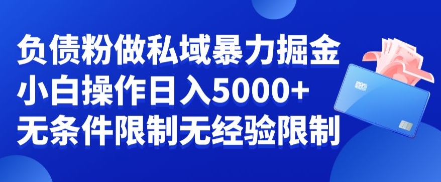 负债粉私域暴力掘金，小白操作入5000，无经验限制，无条件限制【揭秘】-成长印记