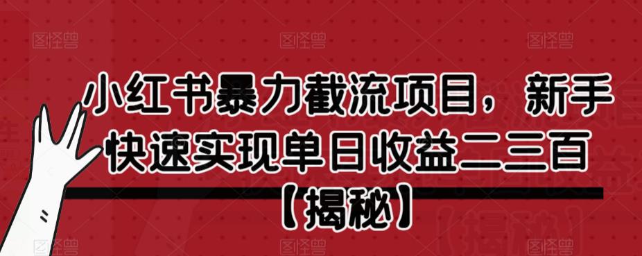 小红书暴力截流项目，新手快速实现单日收益二三百【仅揭秘】-成长印记