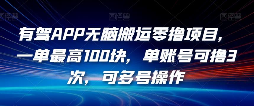 有驾APP无脑搬运零撸项目，一单最高100块，单账号可撸3次，可多号操作【揭秘】-成长印记