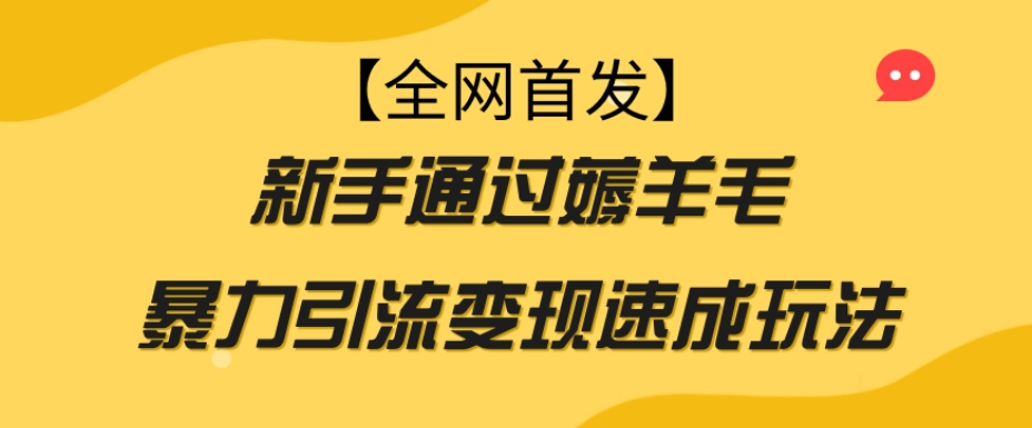 【全网首发】新手通过薅羊毛暴力引流变现速成玩法-成长印记