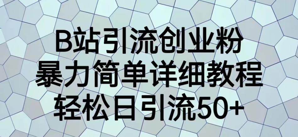 B站引流创业粉，暴力简单详细教程，轻松日引流50+【揭秘】-成长印记