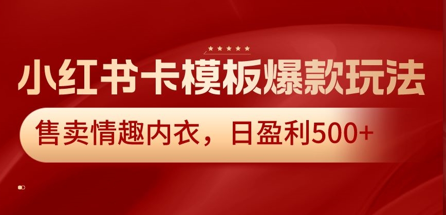 小红书卡模板爆款玩法，售卖情趣内衣，日盈利500+【揭秘】-成长印记