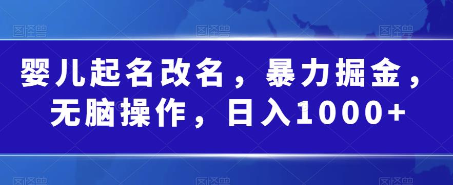 婴儿起名改名，暴力掘金，无脑操作，日入1000+【揭秘】-成长印记