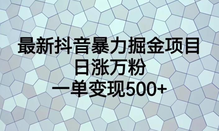 最新抖音暴力掘金项目，日涨万粉，一单变现500+【揭秘】-成长印记