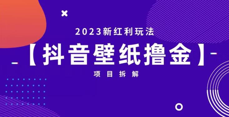 抖音壁纸小程序创作者撸金项目，2023新红利玩法【项目拆解】-成长印记