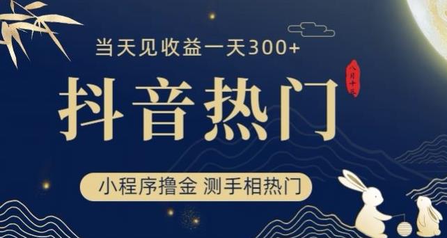 抖音最新小程序撸金，测手相上热门，当天见收益一小时变现300+【揭秘】-成长印记