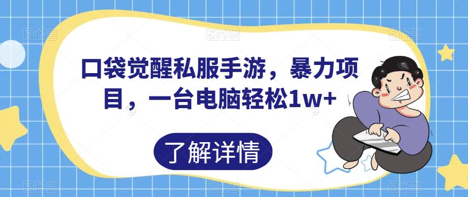 口袋觉醒私服手游，暴力项目，一台电脑轻松1w+【揭秘】-成长印记