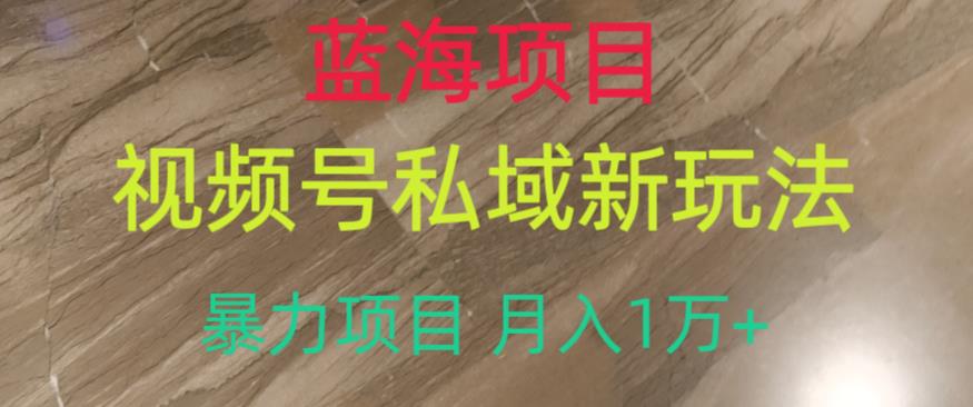 蓝海项目，视频号私域新玩法，暴力项目月入1万+【揭秘】-成长印记