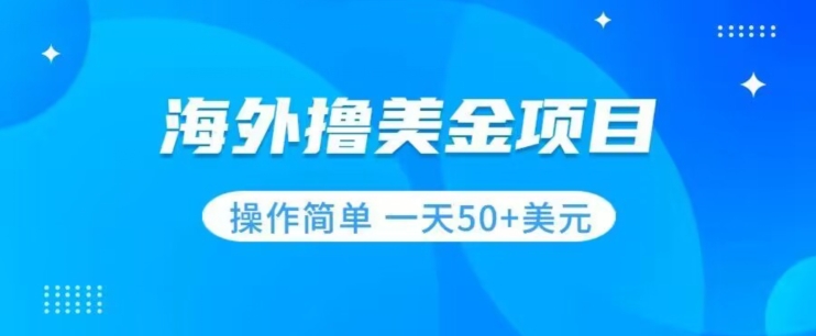 撸美金项目无门槛操作简单小白一天50+美刀-成长印记