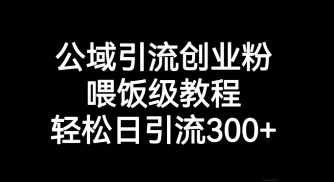 公域引流创业粉，喂饭级教程，轻松日引流300+【揭秘】-成长印记