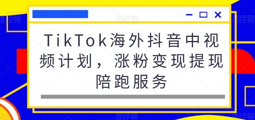 TikTok海外抖音中视频计划，涨粉变现提现陪跑服务-成长印记