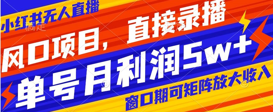 风口项目，小红书无人直播带货，直接录播，可矩阵，月入5w+【揭秘】-成长印记