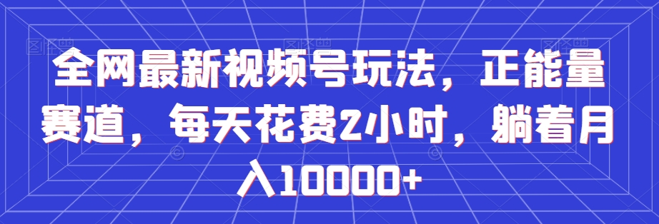 全网最新视频号玩法，正能量赛道，每天花费2小时，躺着月入10000+【揭秘】-成长印记