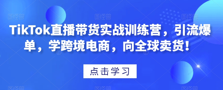 TikTok直播带货实战训练营，引流爆单，学跨境电商，向全球卖货！-成长印记