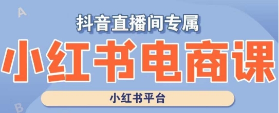 小红书电商高级运营课程，实操教学+案例分析-成长印记