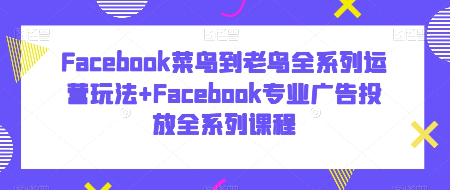 Facebook菜鸟到老鸟全系列运营玩法+Facebook专业广告投放全系列课程-成长印记