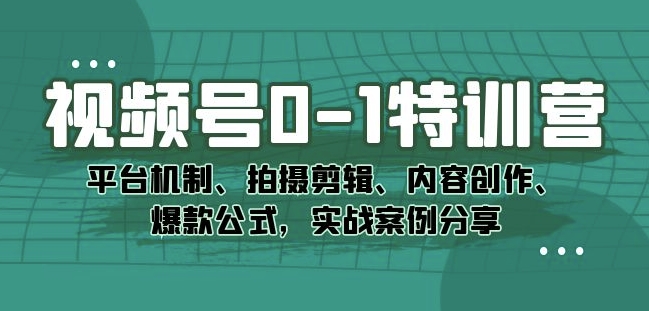 视频号0-1特训营：平台机制、拍摄剪辑、内容创作、爆款公式，实战案例分享-成长印记