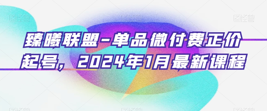 臻曦联盟-单品微付费正价起号，2024年1月最新课程-成长印记