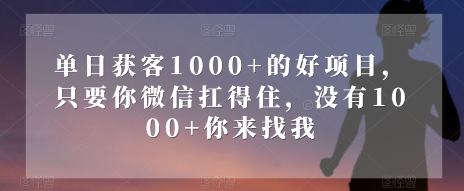 单日获客1000+的好项目，只要你微信扛得住，没有1000+你来找我【揭秘】-成长印记