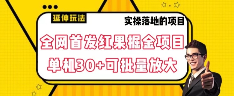 全网首发红果免费短剧掘金项目，单机30+可批量放大【揭秘】-成长印记