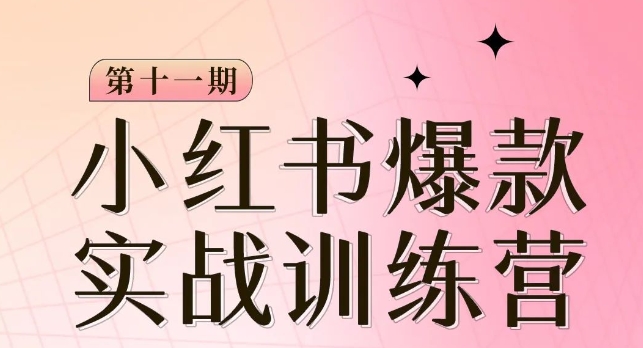 小红书博主爆款训练营第11期，手把手教你从0-1做小红书，从定位到起号到变现-成长印记