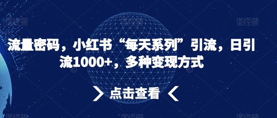 流量密码，小红书“每天系列”引流，日引流1000+，多种变现方式【揭秘】-成长印记