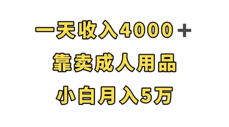 一天收入4000+，靠卖成人用品，小白轻松月入5万【揭秘】-成长印记