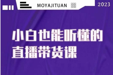 大威本威·能听懂的直播带货课，小白也能听懂，20节完整-成长印记