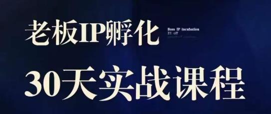 诸葛·2023老板IP实战课，实体同城引流获客，IP孵化必听-成长印记