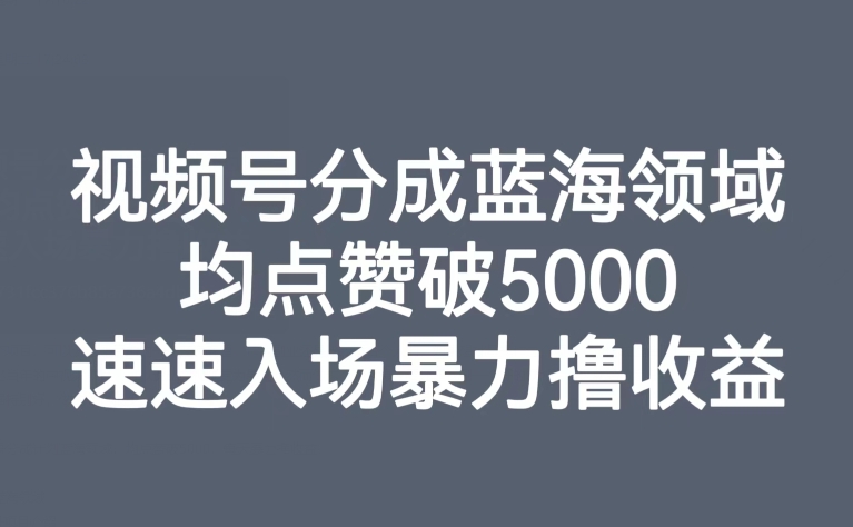 视频号分成蓝海领域，均点赞破5000，速速入场暴力撸收益-成长印记