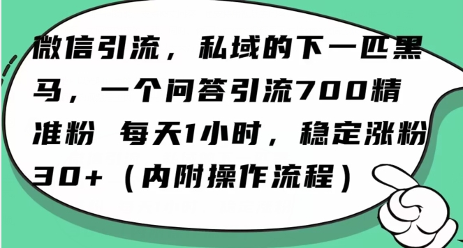 怎么搞精准创业粉？微信新赛道，每天一小时，利用Ai一个问答日引100精准粉-成长印记