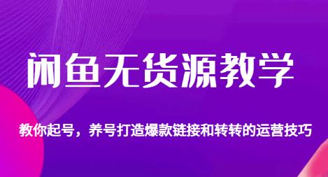 闲鱼无货源教学，教你起号，养号打造爆款链接以及转转的运营技巧-成长印记