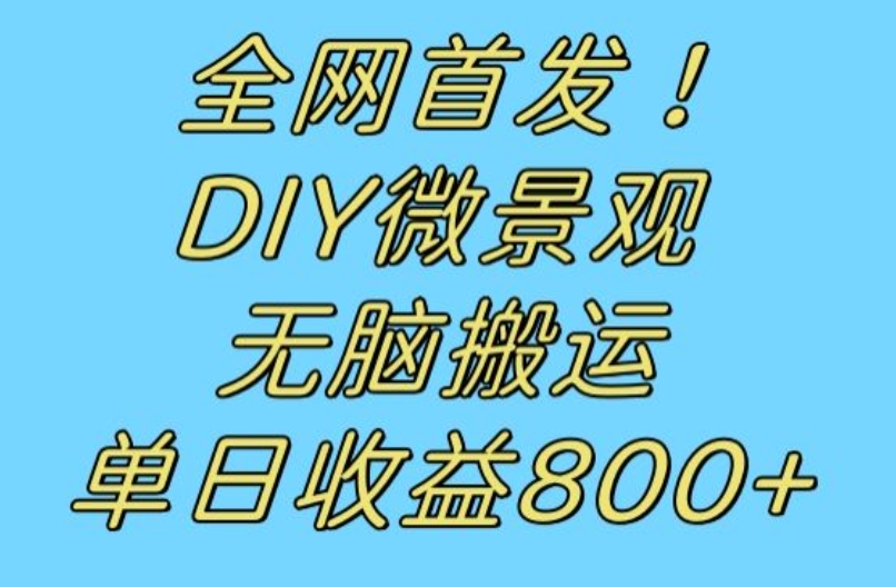 全网首发冷门赛道！DIY微景观，无脑搬运视频，日收益800+【揭秘】-成长印记