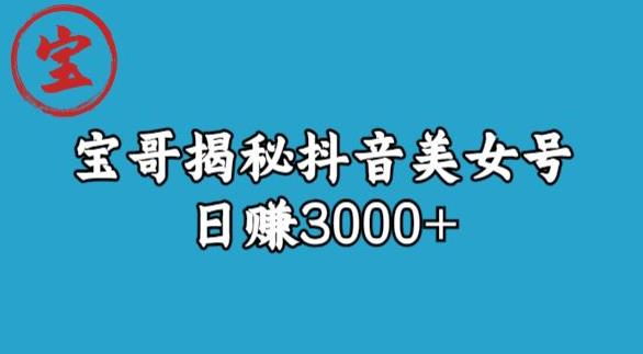 宝哥揭秘抖音美女号玩法，日赚3000+【揭秘】-成长印记