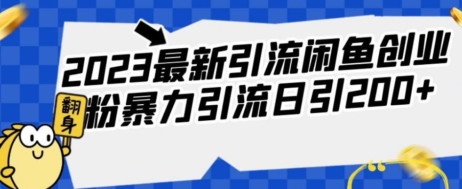 2023最新引流闲鱼创业粉暴力引流日引200+【揭秘】-成长印记