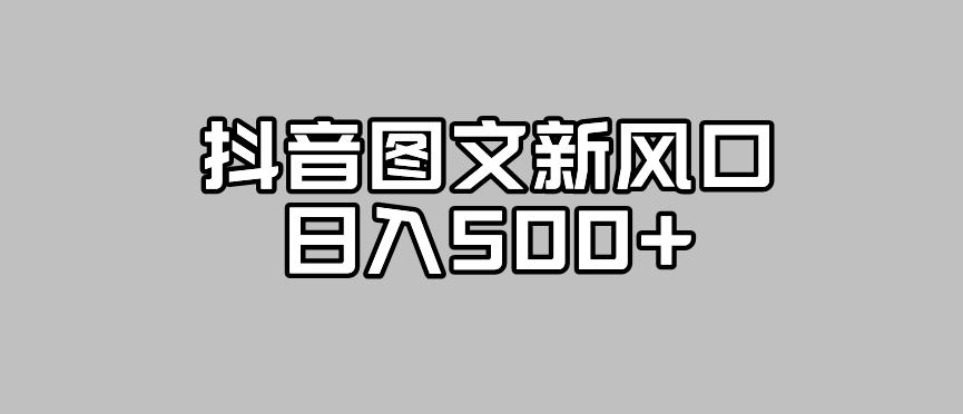 抖音图文最新风口，流量扶持非常高，日入500+【揭秘】-成长印记