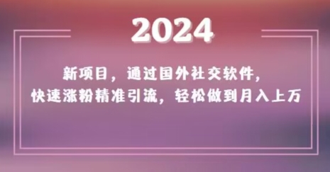 2024新项目，通过国外社交软件，快速涨粉精准引流，轻松做到月入上万【揭秘】-成长印记