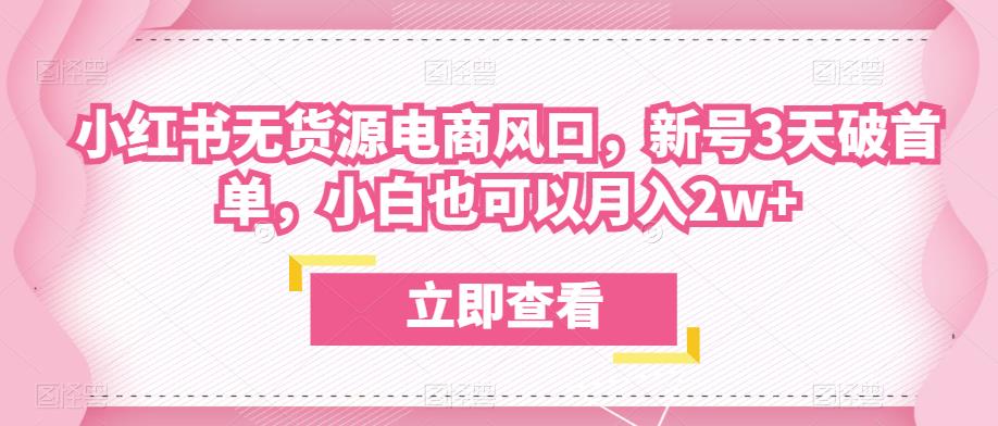 众狼电商余文小红书无货源电商风口，新号3天破首单，小白也可以月入2w+-成长印记