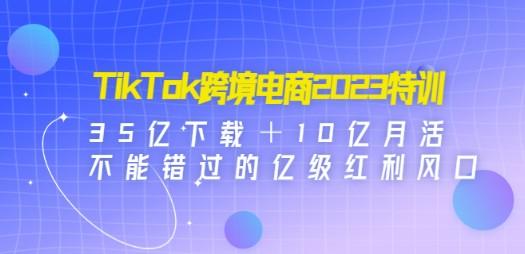 TikTok跨境电商2023特训：35亿下载＋10亿月活，不能错过的亿级红利风口-成长印记