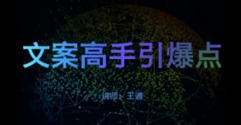 王通《文案高手引爆点》最实战的各种营销文案模型 价值2000-成长印记