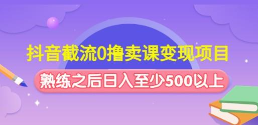 抖音截流0撸卖课变现项目：这个玩法熟练之后日入至少500以上-成长印记