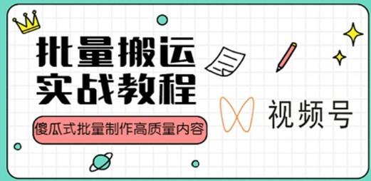 视频号批量搬运实战赚钱教程，傻瓜式批量制作高质量内容【附视频教程+PPT】-成长印记