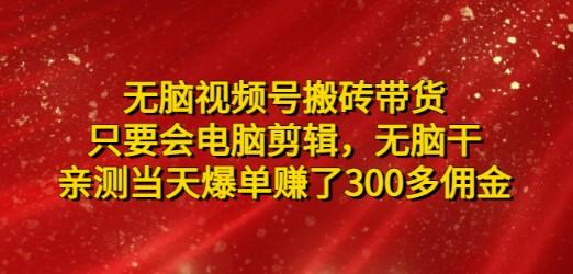 东哲无脑视频号搬砖带货，只要会电脑剪辑，无脑干，亲测当天爆单赚了300多佣金-成长印记