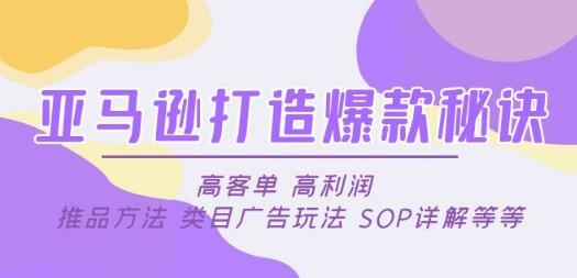 亚马逊打造爆款秘诀：高客单 高利润 推品方法 类目广告玩法 SOP详解等等-成长印记