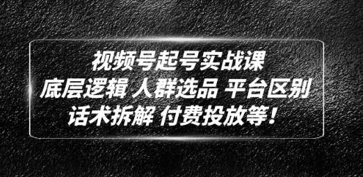 视频号起号实战课：底层逻辑 人群选品 平台区别 话术拆解 付费投放等！-成长印记