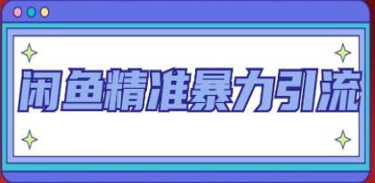 闲鱼精准暴力引流全系列课程，每天被动精准引流200+客源技术（8节视频课）-成长印记